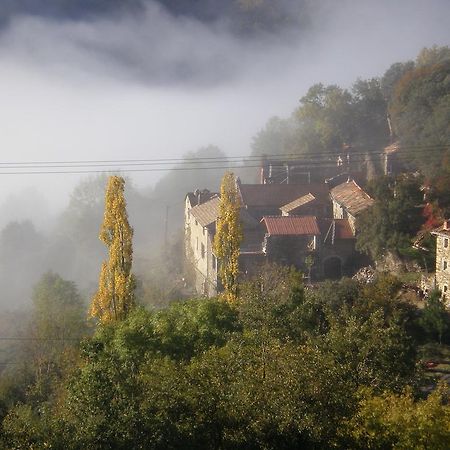 Готель Mas La Donzelenche Vialas Номер фото